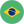 Portuguese (Brazil)